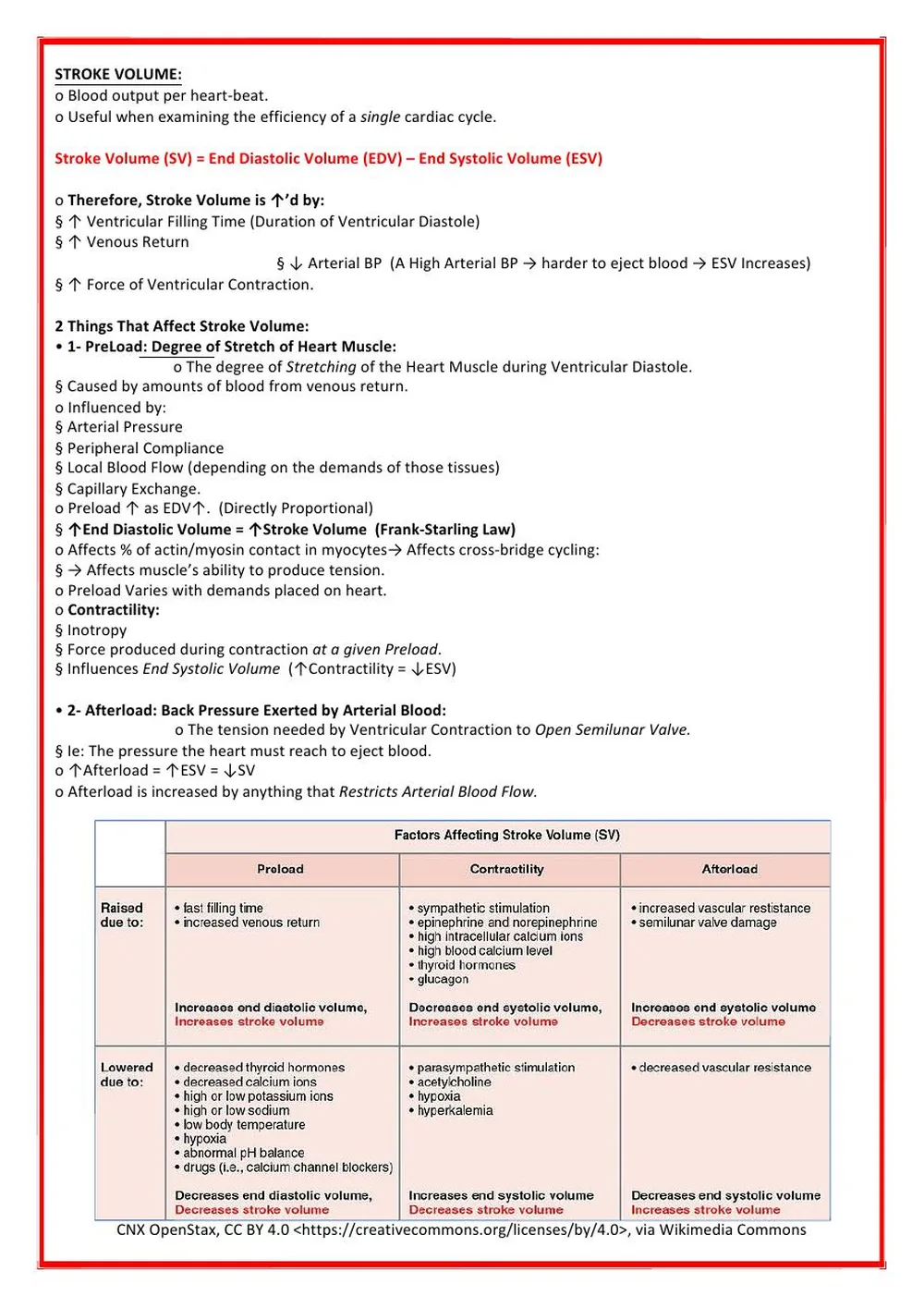 Heart Conduction Pathway